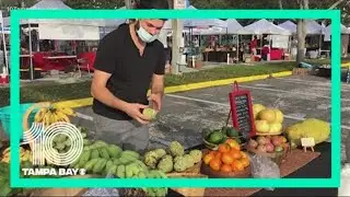 Saturday Morning Market in St. Pete stocked with plenty of fresh vegetables and fruits