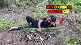 TES PASANG 100 PANCING UMPAN KODOK HIDUP DI SARANG IKAN DAPAT IKAN BANYAK😅 #bocahpecicilan