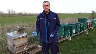 Brutraumtemperatur unterschiedlich - woran liegt´s?