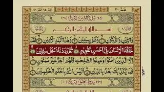 Surah At-Tin | Urdu Translation | Mishary Rashid Alafasy