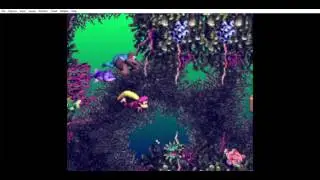 donkey kong 3 all bonus levels and dk coin - fish food frenzy