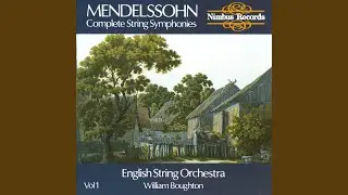 String Symphony No. 1 in C Major, MWV N1: II. Andante