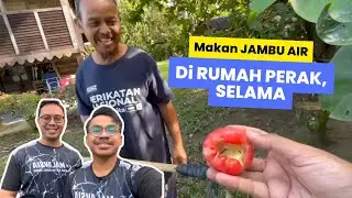 SERONOKNYA Bertamu dan Makan Jambu Air di Rumah Upin Ipin di Selama, Perak 😍