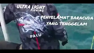 MANCING BARACUDA DENGAN MINNOW LURE