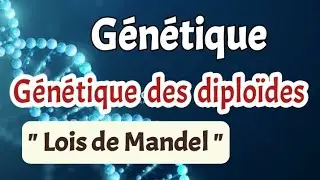 Génétique/ Chapitre 3: génétique des diploïdes/ partie1: lois de Mandel
