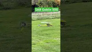 SAB Goblin Landing #helicopter #rc