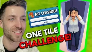 Из коробки в особняк: попытка вирусного испытания коробки в Sims 4