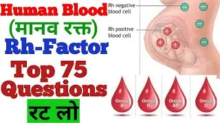 General Science : Blood Group (रक्त समूह ) & Rh Factor | Human Blood (मानव रक्त) Important Questions