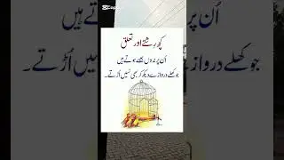 Rishty or Talaq | #rishty #quotes #viralvideo