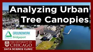 Uncovering disparities in urban tree canopies with data science | DSI + @groundworkusa5938