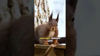 🐿️ Red Squirrel Secrets: 5 Myths About Europe&rsquo;s Tiny Titans! 🌰✨