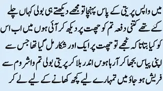Pehli Changari Epi 255 || Preti take me to market for shoping Urdu Novel