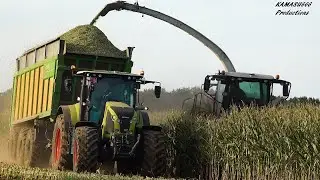 Mais 2019 : Loonwerken Haveneers / Claas Jaguar 960 / Joskin Drakkar / Maisernte / Maize harvest