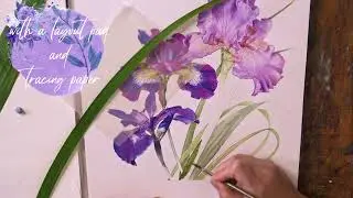 Листья и стебли ириса &mdash; превью Билли Шоуэлла ⎮Акварель, красота