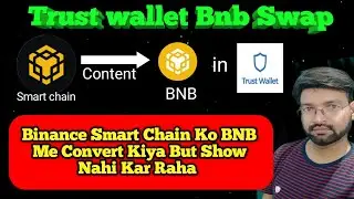 Smart chain se bnb me convert kiya but bnb show nahi kar raha !!