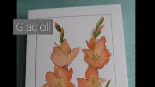 Gladioli