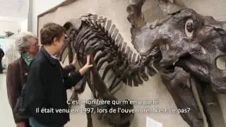 Portes ouvertes : nos collections