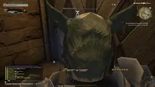 FFXIV - All You Wanted to Know about Odin