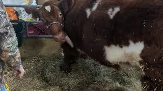 2026 PENNSYLVANIA STATE FAIR 110TH FARM SHOW