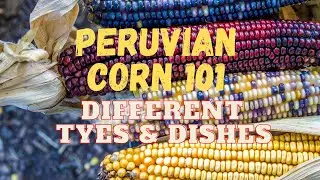Peruvian Corn 101: Different Types & Dishes