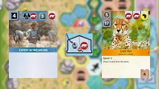 Ark Nova | new map study session part 2