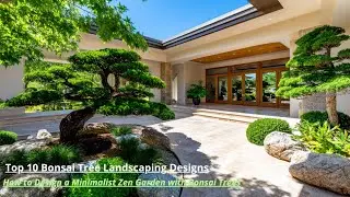 Modern Japanese Bonsai Garden Ideas for a Peaceful Front Yard Makeover