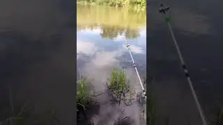 река Самара  .