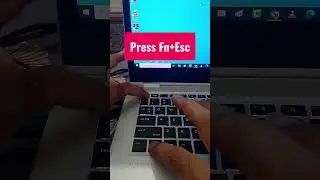 Find Your HP Laptop's Hidden Product & Serial Number Easily