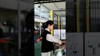 What about our factory's automated assembly line for skeleton oil seals #oilseal #skeletonoilseal
