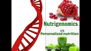 Nutrigenomics vs Personalized Nutrition