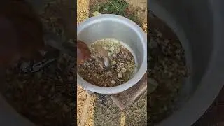 🐔 Desi Murga Recipe | एक बार खाओगे तो भूल नहीं पाओगे🤤 ढाबा स्टाइल देसी मुर्गा | Full Desi tested 