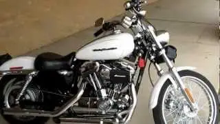 2004 Harley-davidson Sportster, pearls white, 1200 custom, for sale, D&D Exhaust