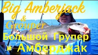 Fishing for Big Amberjack and Grouper, Barracuda attacking