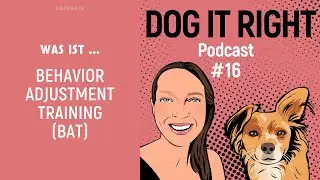 Behavior Adjustment Training (BAT) mit Grisha Stewart | Dog It Right Podcast