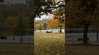 October in London. #k7international #studyabroad #rajkot #studyinlondon #londoncity #automn #travel