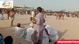 Famous Sindhi Game Malakhro in Mithi #coloursofthar #malakhro