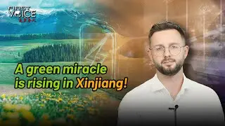 A green miracle is rising in China's Xinjiang!