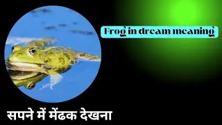 frog in dream meaning || सपने में मेंढक देखना
