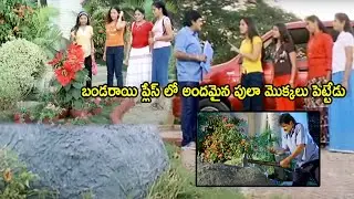 Somberi Movie Ali Funny Park Raging Scenes || Telugu Old Movie Scenes || Prime Movies