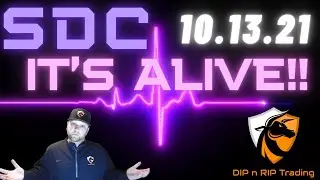 ||SDC|| - MOVING ON UP?!?! || SHORT SQUEEZE || TECHNICAL ANALYSIS || ORTEX DATA