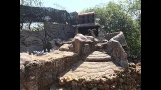 Trip to Maharani Zoo & Cave (Wisata Kebun Binatang Goa Maharani) Paciran, Lamongan