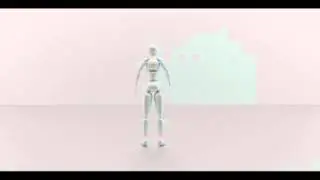 Dodgewall