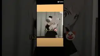 pov a annya