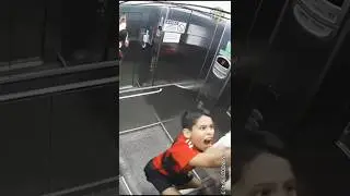 11-Year-Old Saves Dog from Elevator Accident in Seconds #didyouknow