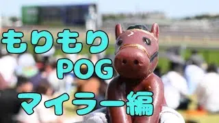 POG2026-2027 注目馬紹介 〜マイラー編〜