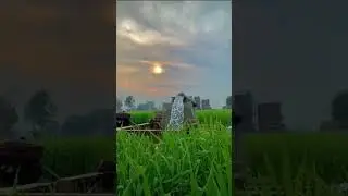 Punjab intro @hanuman_aditig(Punjab Intro)#aditz