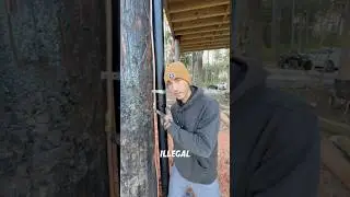 Нарушения правил проживания в домике на дереве &mdash; это может быть опасно