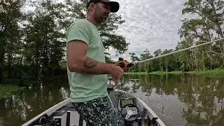South Louisiana bass fishing Atchafalaya spillway #bayside tackle #spillway#bass  
