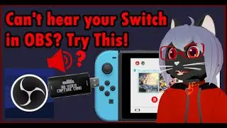 How to Set Up Audio Input For Your Switch Capture Card in OBS (Tutorial)
