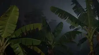 Rain in the farm .11 hours (No Ads) | Deep Sleep, Relaxation, Study | Insomnia relief